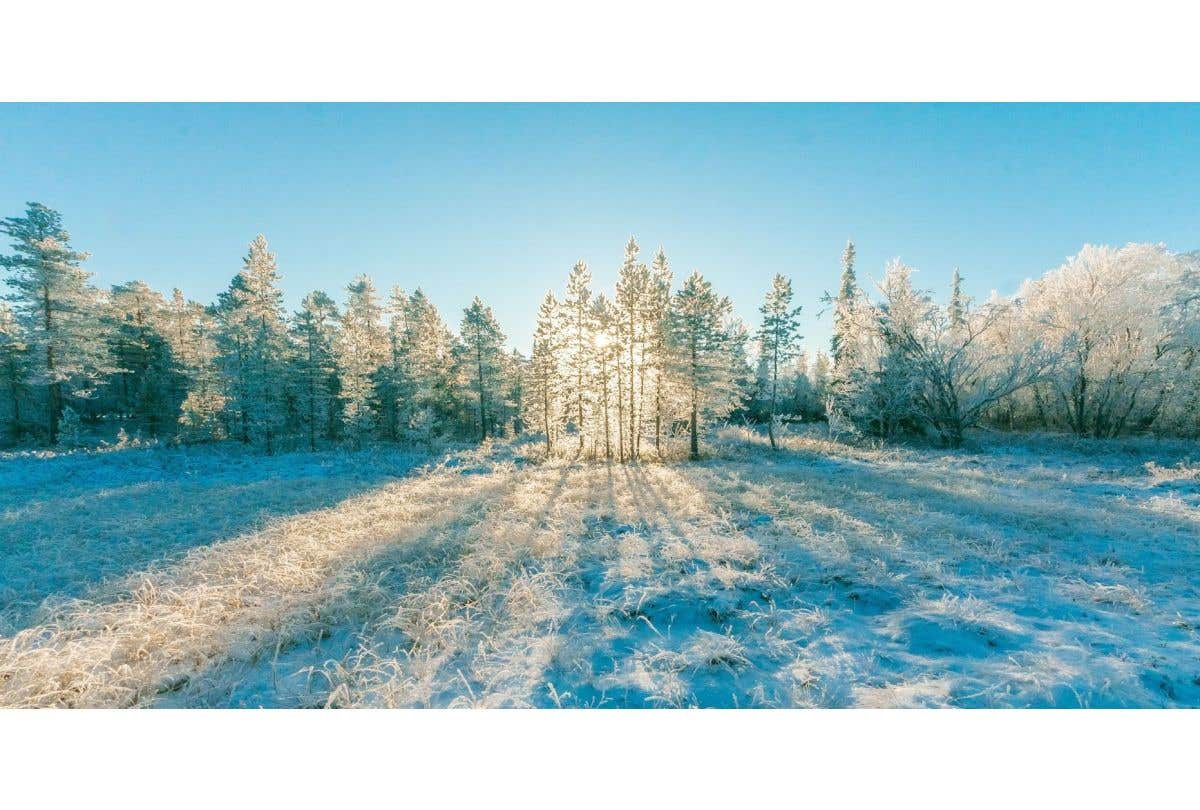 「小雪」解放心靈，化憂鬱為行動力