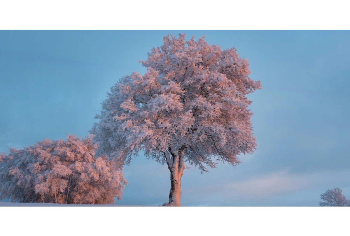 「小雪」解放心靈，化憂鬱為行動力